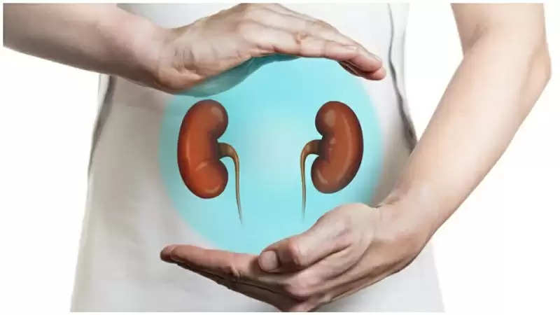 kidney-health-do-not-ignore-the-problem-of-weak-kidney-adopt-this