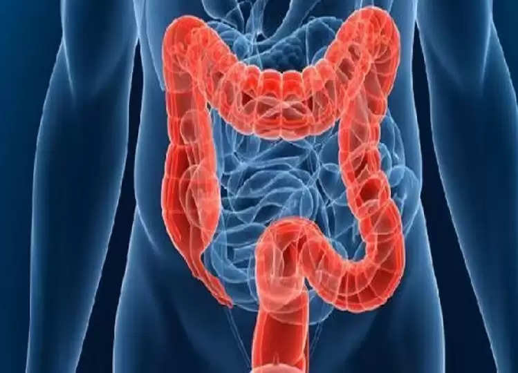 Health Tips: If you have a weak intestine then stop consuming these ...