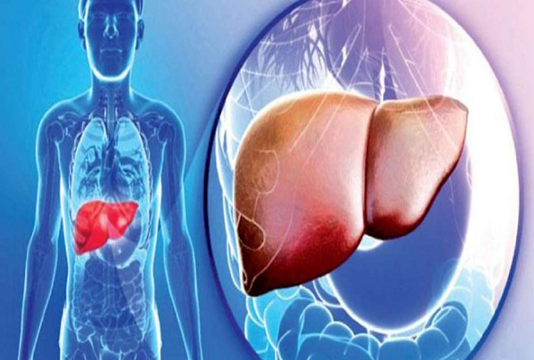 health-if-you-see-these-symptoms-then-understand-that-your-liver-is