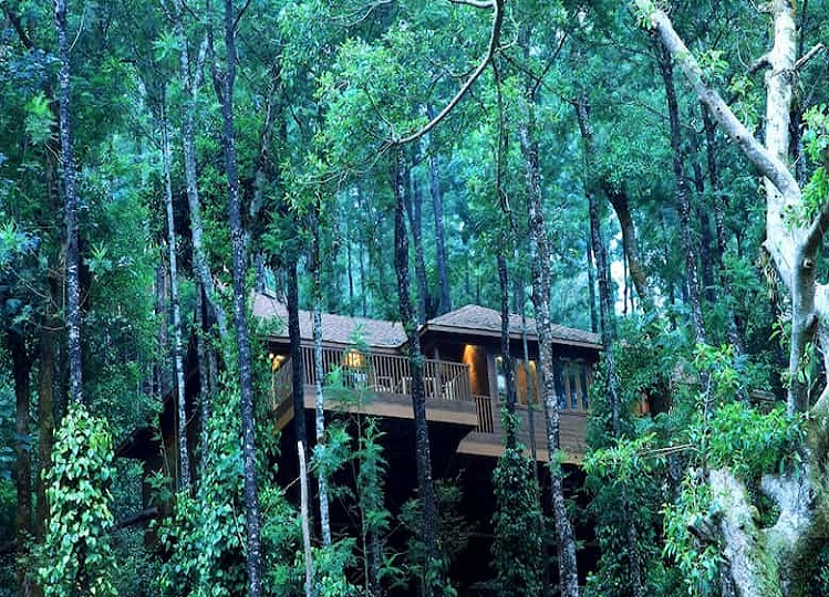 Travel Tips: Coorg is famous as Scotland of India, you will get to see ...